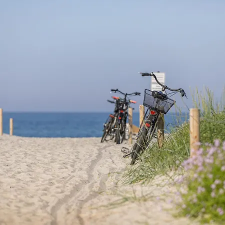 Appartement 5-sterne Strandflieder Mit Einem Traumhaften Boddenblick *